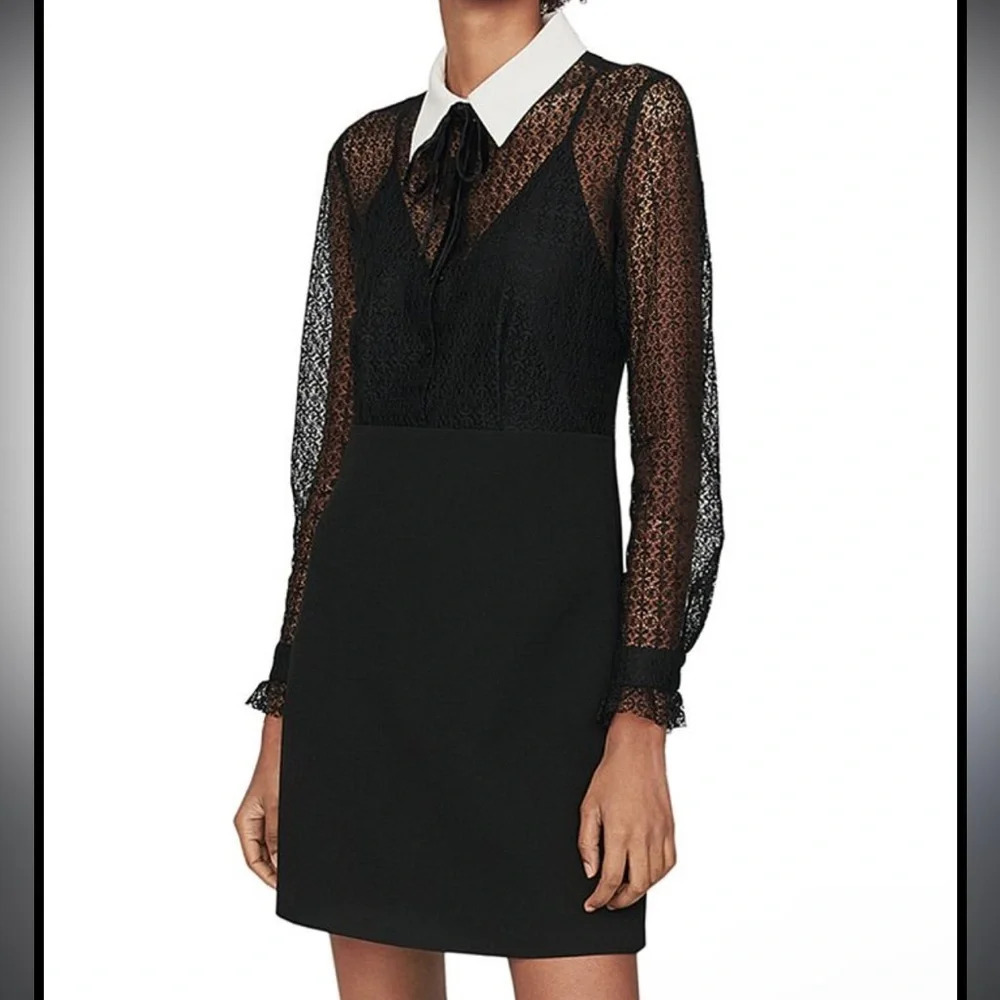 Maje Ramoni Contrast Collar Lace Mini Dress